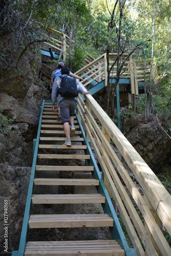 wooden staircase at a national park in Chile