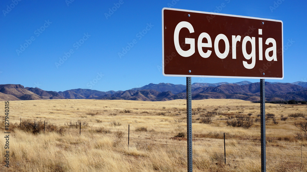 Georgia brown road sign