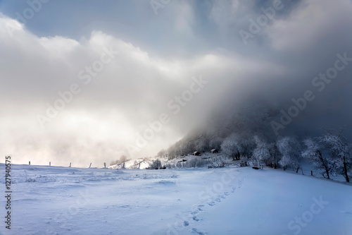 winter © Igor Syrbu