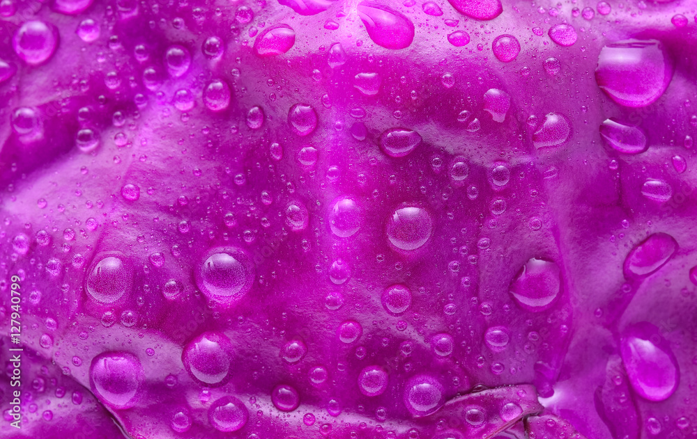 Purple cabbage with water drops background. Purple cabbage with water drops background.