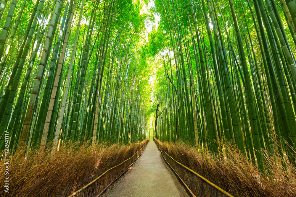 Naklejka premium Arashiyama bambusowy las w Kioto Japonia