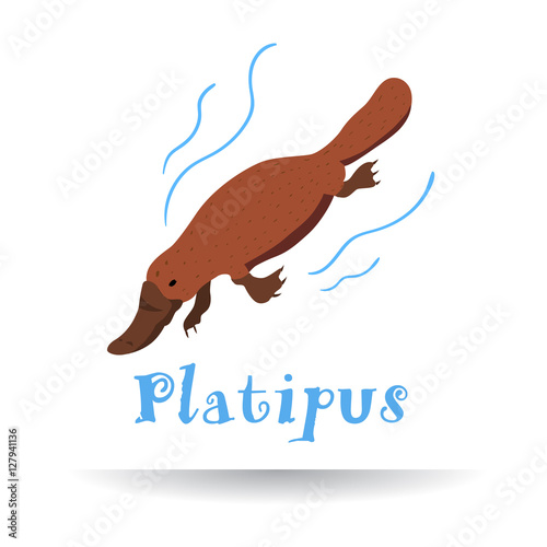 Platipus icon. Logotype for business. Vector illustration.