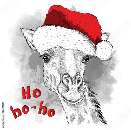 The christmas poster with the image of giraffe portrait in Santa's hat. Vector illustration. photo