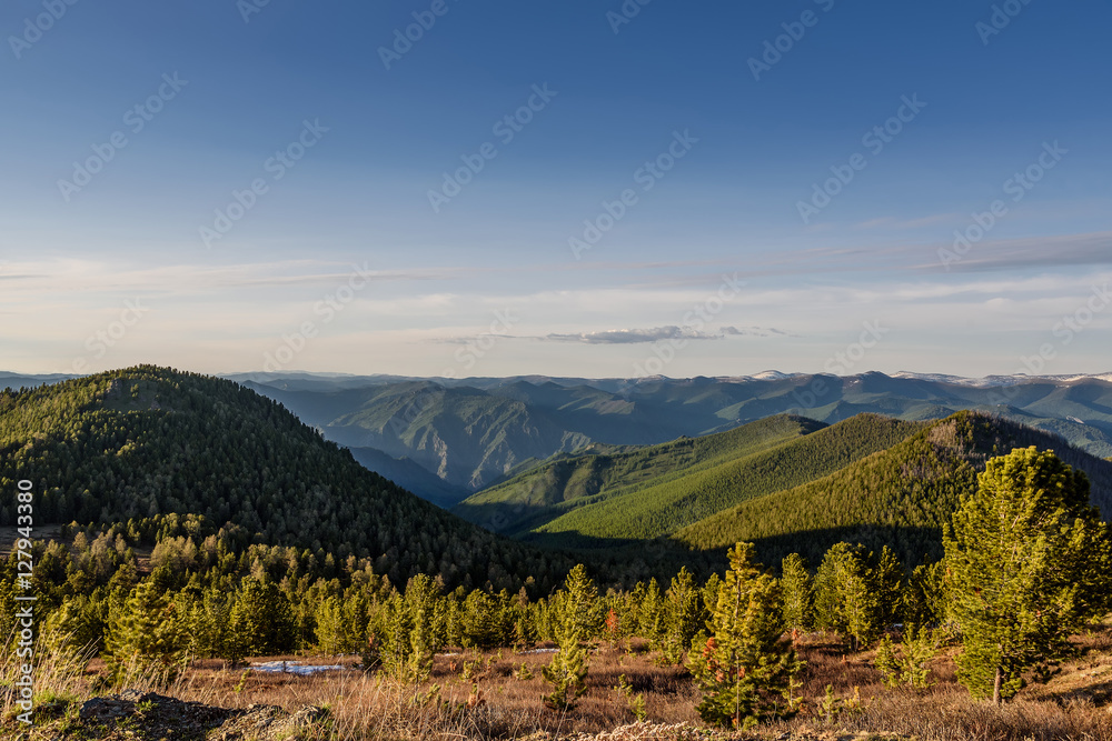mountain cedars forest sky peaks