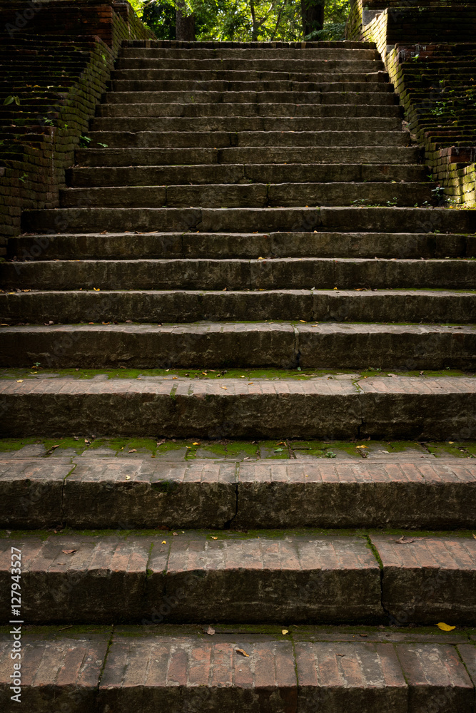 The ancient old stairs and green plant The ancient old stairs and green plant