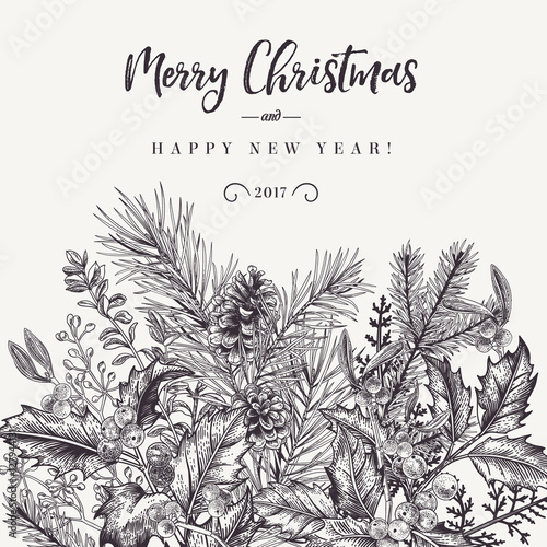Border with Christmas plants.