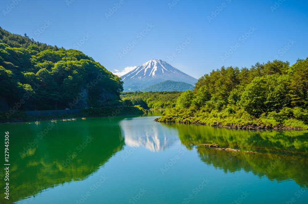 Fototapeta premium Mount Fuji from Lake Shoji