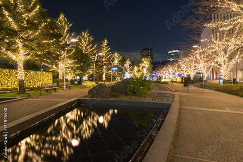 Photography Light Decorated Trees in Roppongi, Tokyo