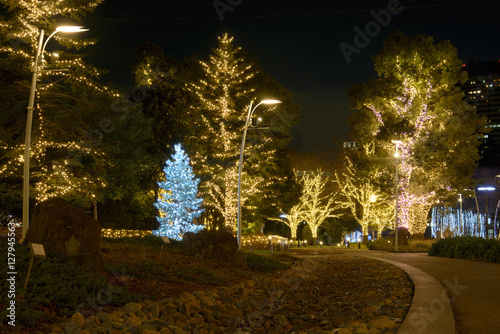 Winter Illumination Near Tokyo Midtown © Wiennat M