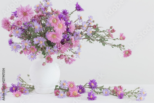 Aster amellus bouquet in ceramic vase on white background