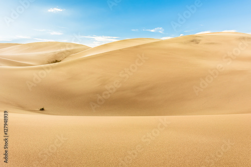 Smooth light sand dunes in national park in Colorado with plants