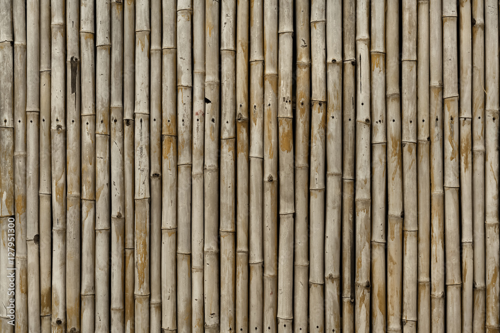 Bamboo fence, Siem Reap, Cambodia