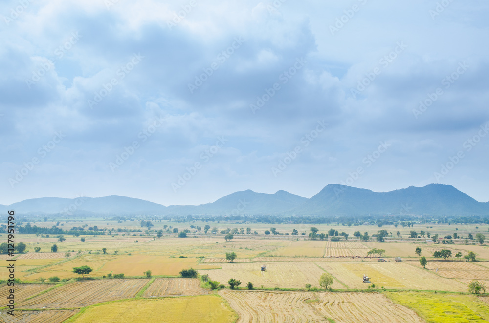 Fototapeta premium Rice field with mountain in Thailand. Landscape photo.