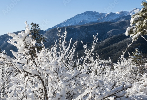 Snow in the Pike National Forest photo