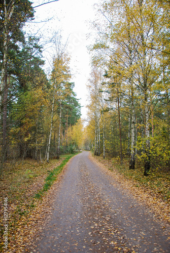 Colorful gravel road at fall season