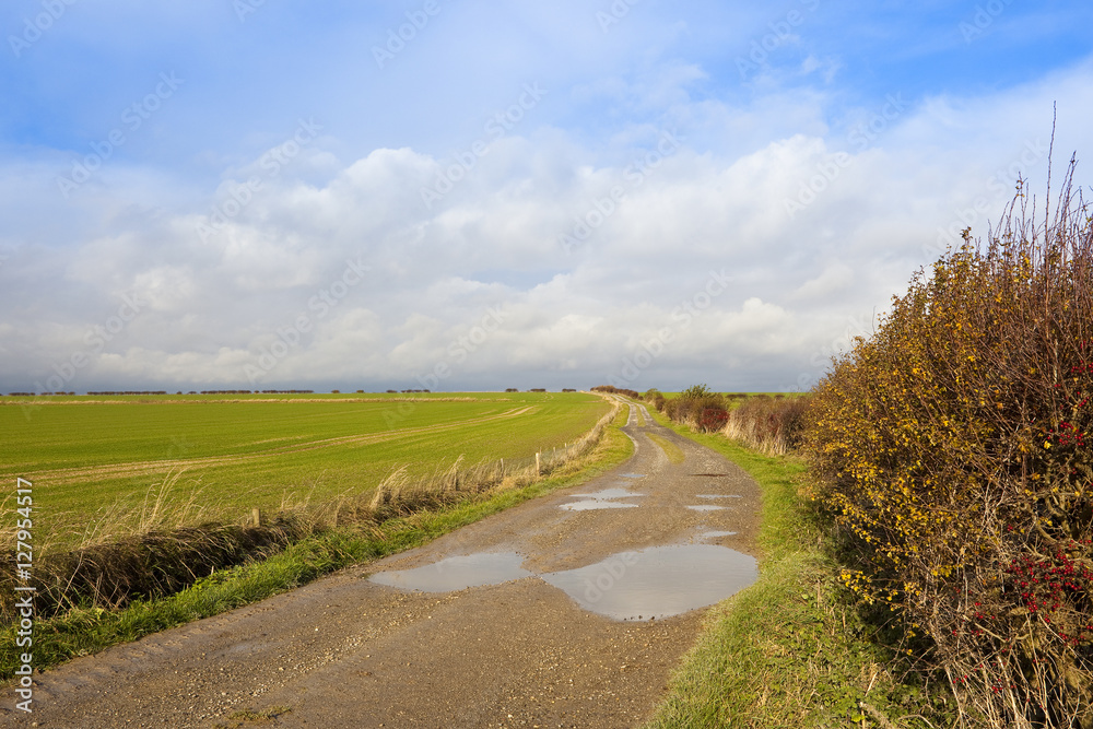 bridleway with puddles bridleway with puddles