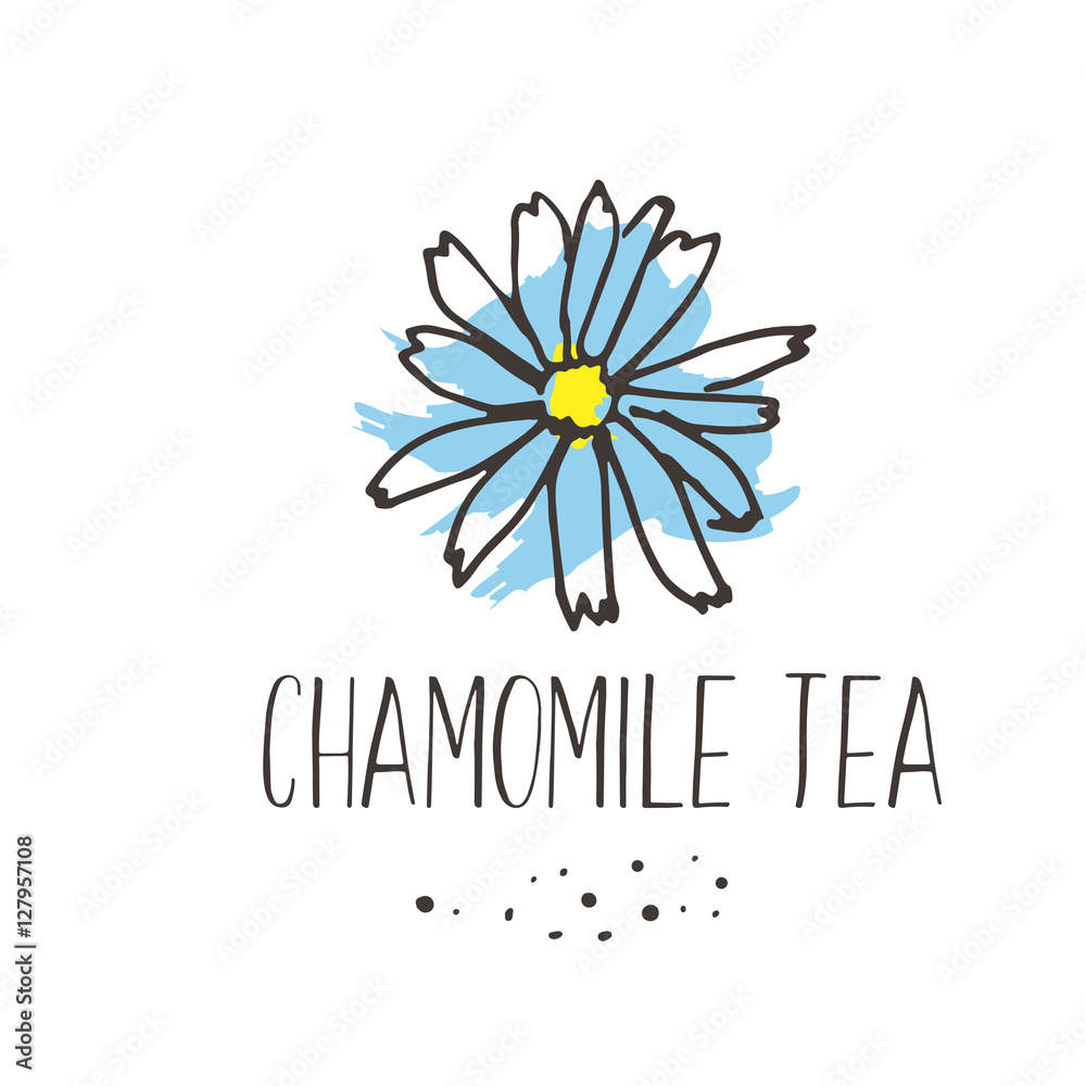 Chamomile tea print. Organic herbal hot drinks pakage design. Hand sketched herbs and flowers illustration collecton.