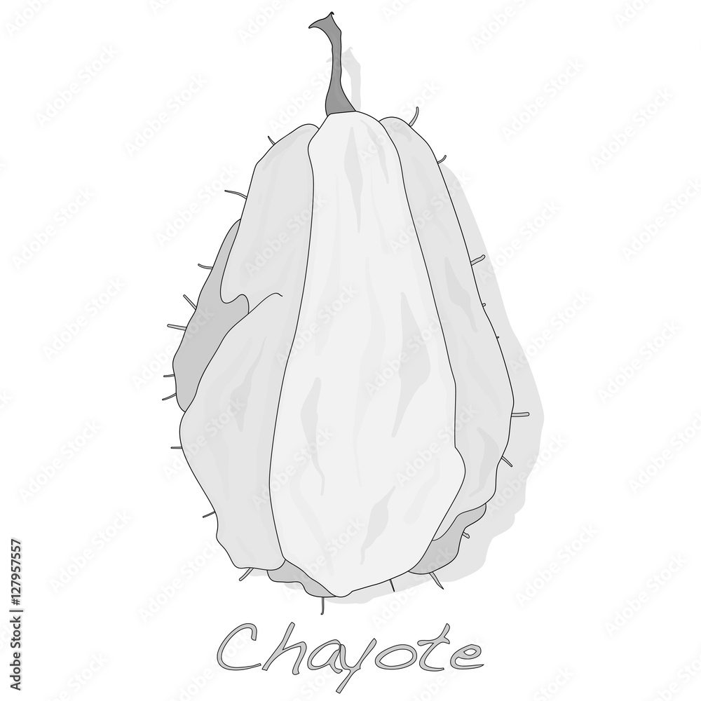 Naklejka premium Chayote on white background