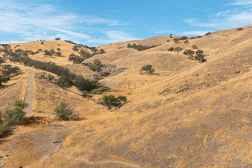 Fotobehang Heuvel Pacheco Pass landschap in Californië  © Harris Shiffman
