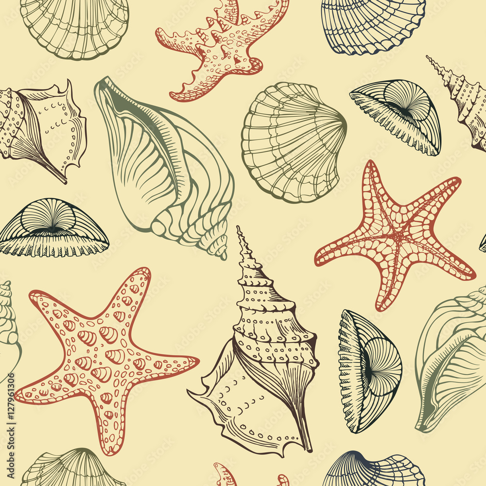 Seashells, Starfish. Vector seamless pattern. Hand drawn sketch.