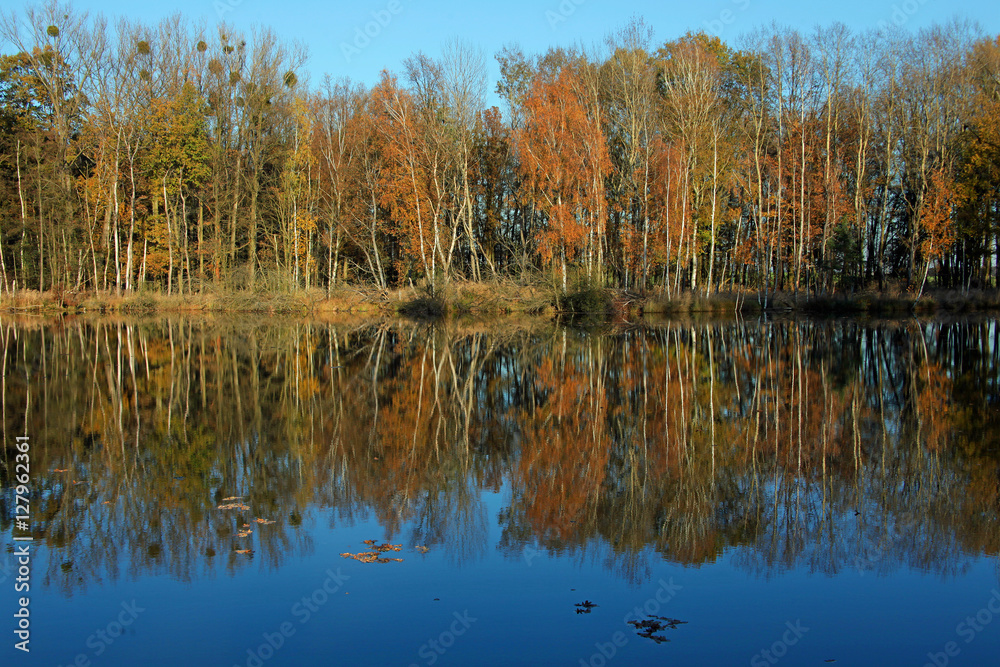 Obraz premium Teichlandschaft im Herbst.1