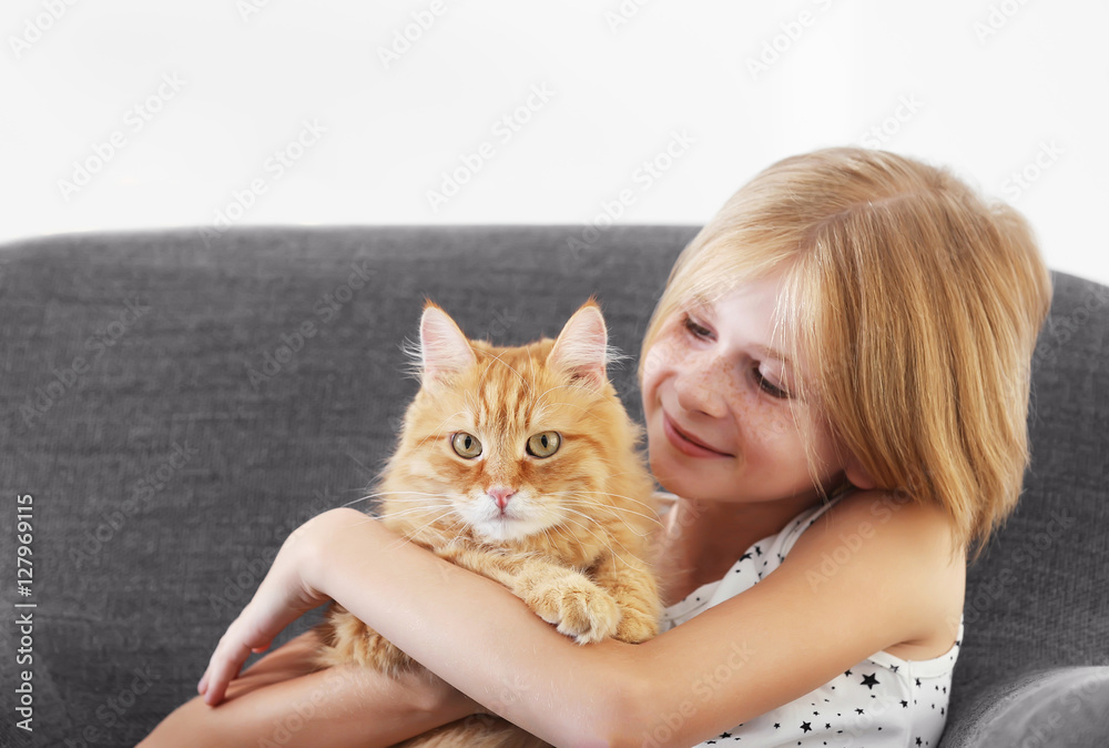 Beautiful little girl sitting on grey armchair with red fluffy cat Beautiful little girl sitting on grey armchair with red fluffy cat