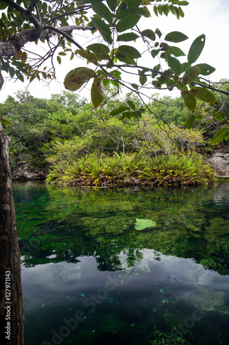 Cenote with pure water  Mexico