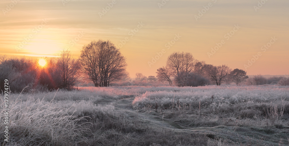 Christmas sun illuminate snowy meadow Christmas sun illuminate snowy meadow