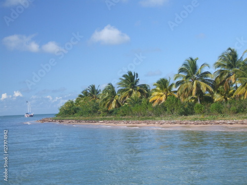View of the coast from a beach with coconut trees by the sea.