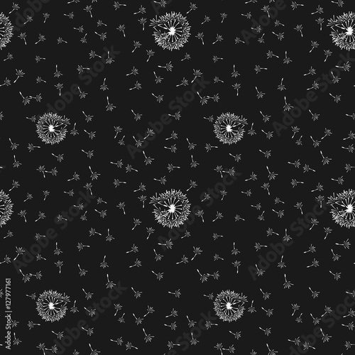 Dandelion, pattern white and black