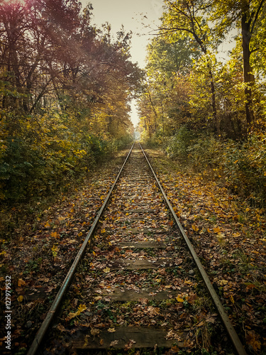 Railroad rails in autumn with sunshine