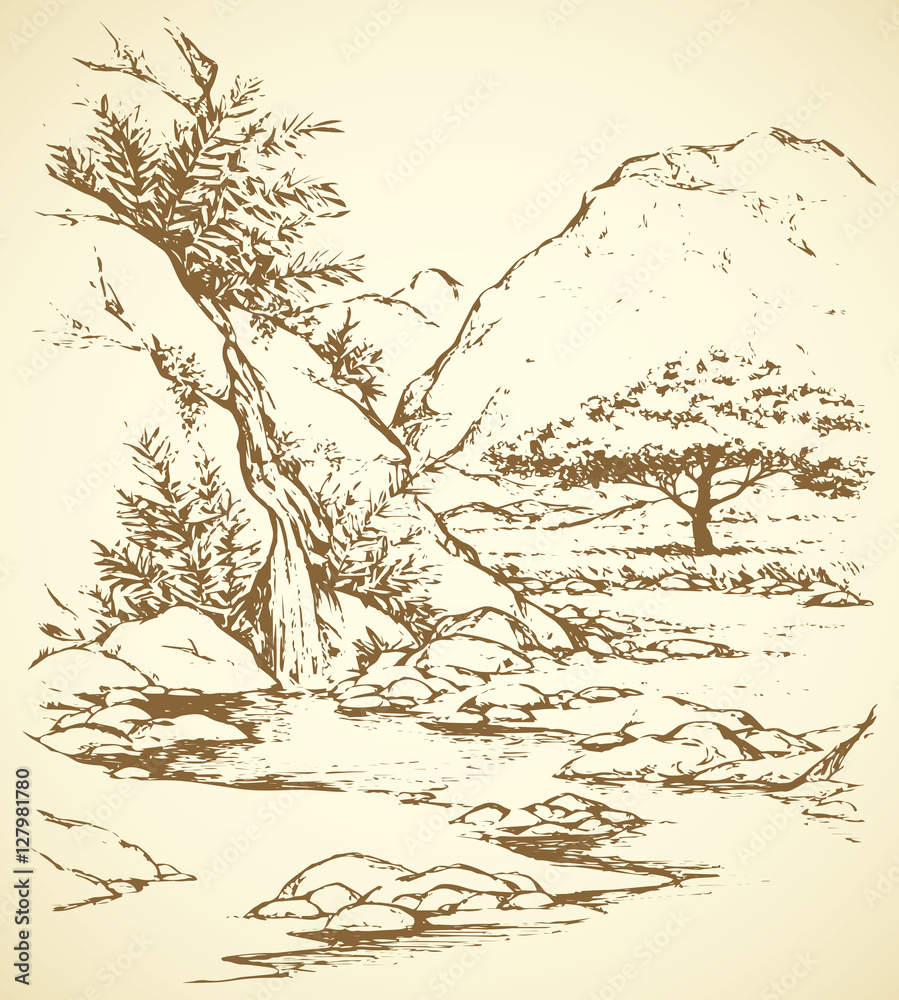 Fototapeta premium Vector landscape. Tree near a mountain stream