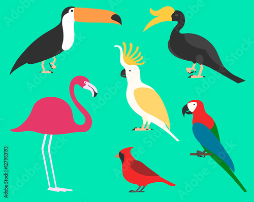 Set of flat birds  isolated on background. different tropical and domestic birds  cartoon style simple birds for logos.