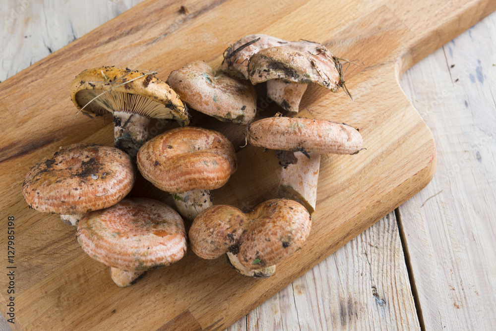 Mushrooms Rovellon Mushrooms Rovellon