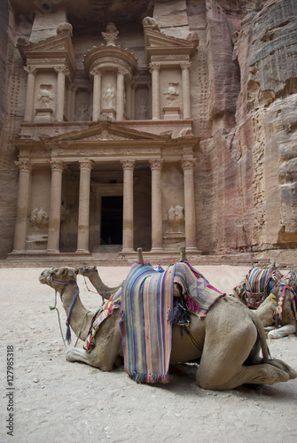 Camels rest in front of Al Khazneh Treasury ruins, Petra, Jordan