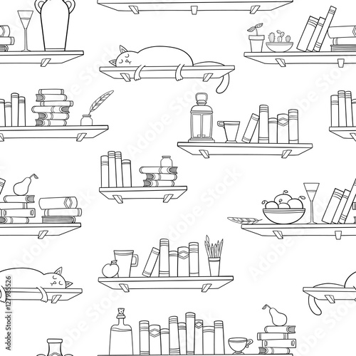 Books, cat and other things on the shelves.