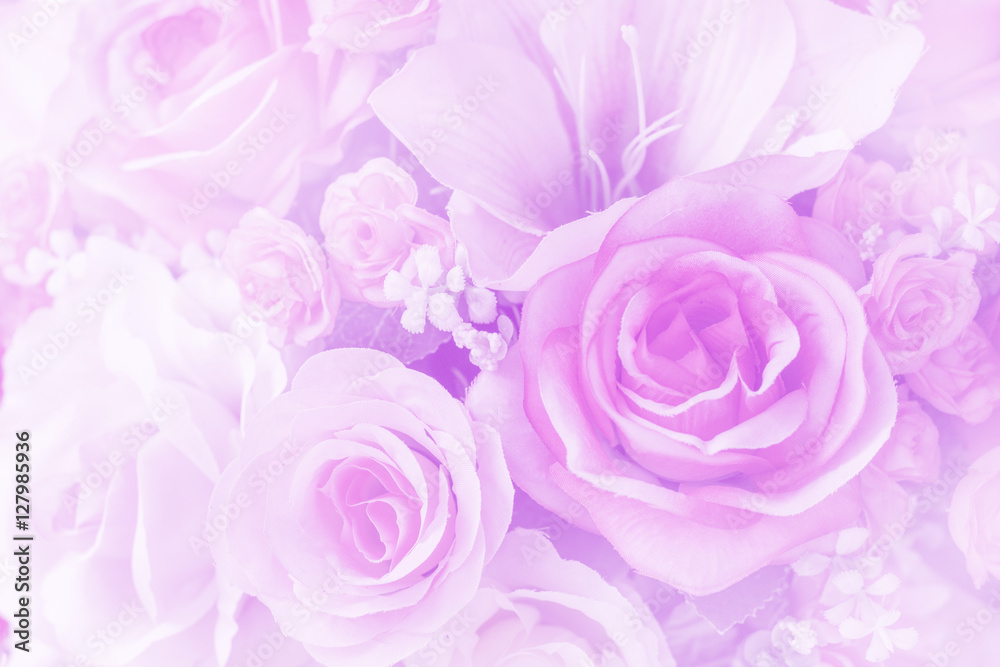 Rose flowers Rose flowers