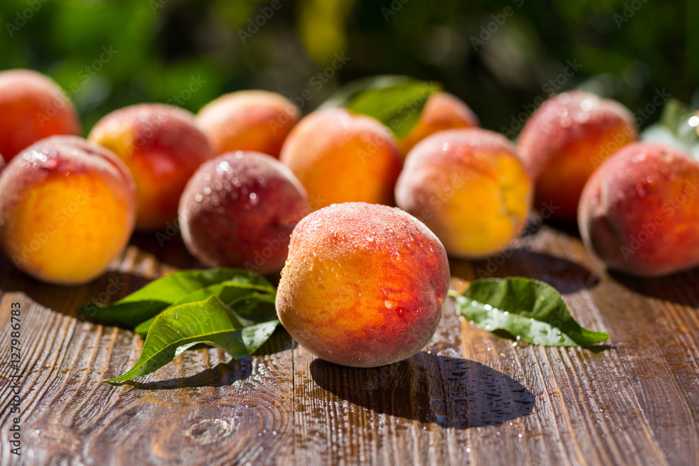 Fresh peaches, Peach close up fruit background, peach on wood background,sweet peaches, group of peaches,Peaches pattern texture fruit market peach background Fresh peaches, Peach close up fruit background, peach on wood background,sweet peaches, group of peaches,Peaches pattern texture fruit market peach background