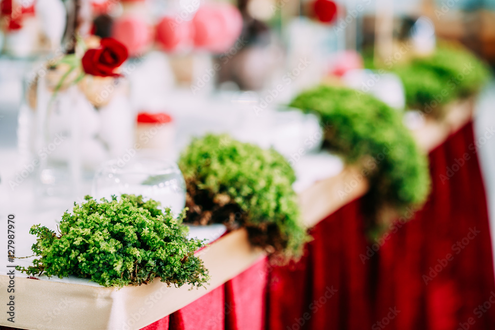 Decoration Decorative Grass In Candy Bar On Table. Wedding Decor