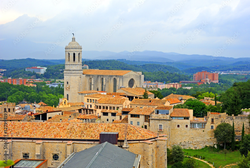 View of Girona city and Girona Cathedral, Spain
