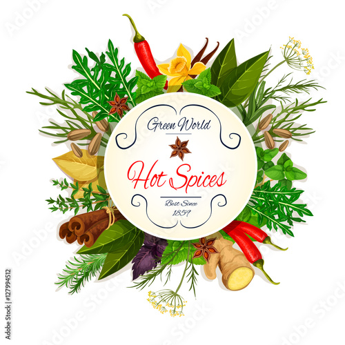 Hot spice and condiment poster for food design