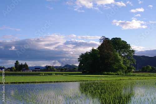 田舎の田園風景