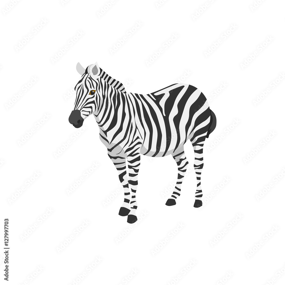 Naklejka premium zebra illustration