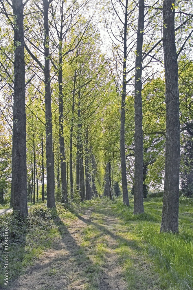 footpath trail in the english countryside UK footpath trail in the english countryside UK