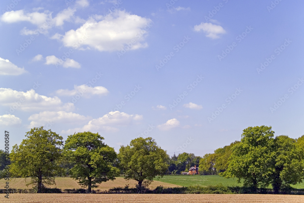 Obraz premium footpath trail in the english countryside UK