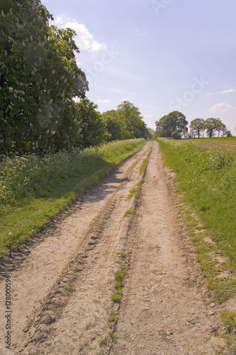 footpath trail in the english countryside UK © david hughes