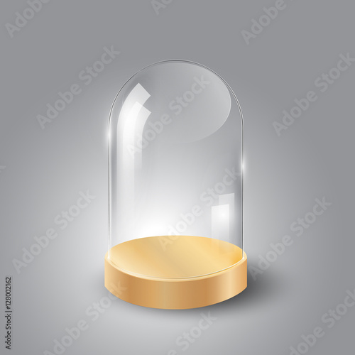 Glass dome and wood tray, transparent vector