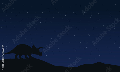 Silhouette of triceratops at night landscape