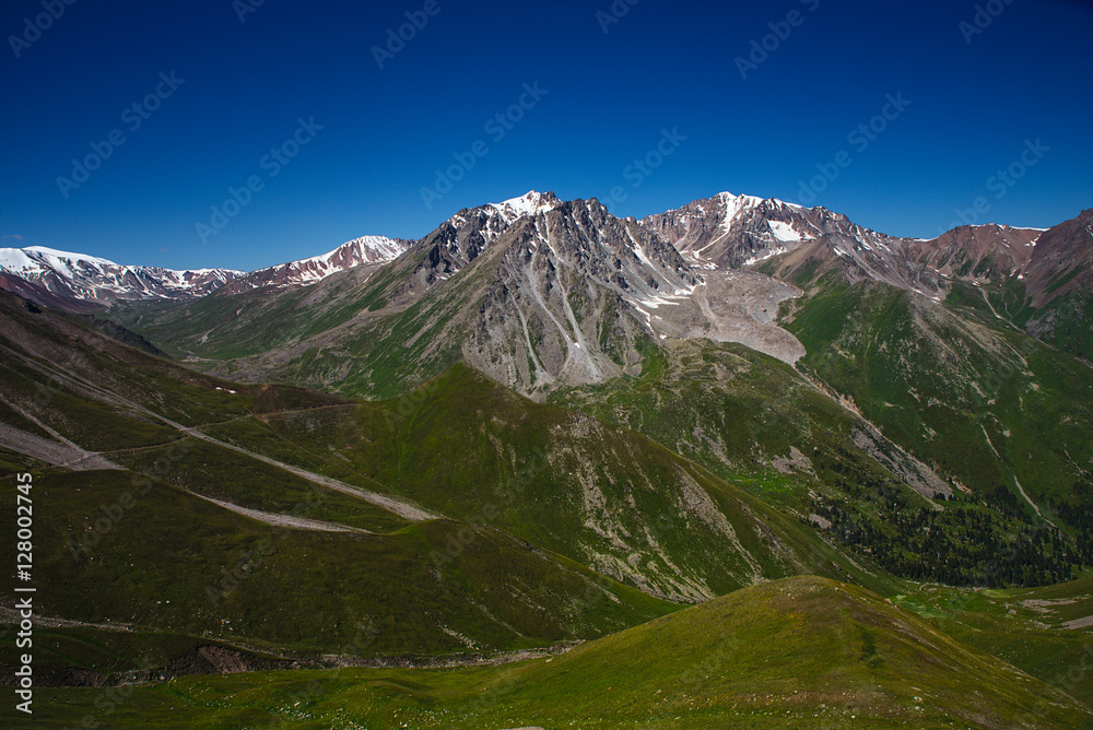 Green grassy mountain valley with ice peaks, Central Tien-Shan