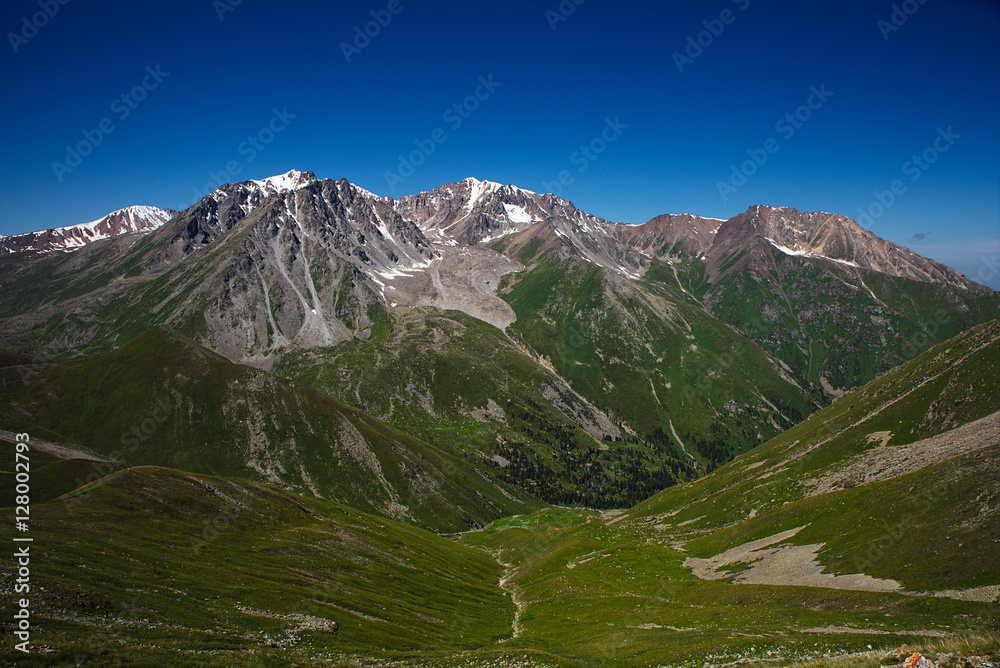 Green grassy mountain valley with ice peaks, Central Tien-Shan